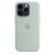 Apple Silicone Case 1:1 for iPhone 14 Plus with MagSafe Succulent
